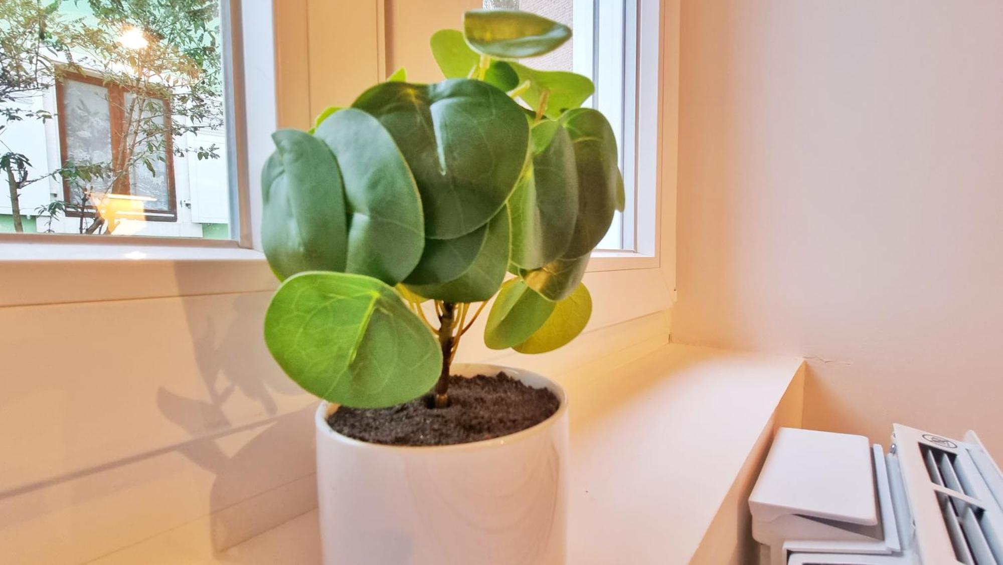 La Buhl Verte - Chic Et Moderne - Calme - Fibre - Relax Bnb 외부 사진